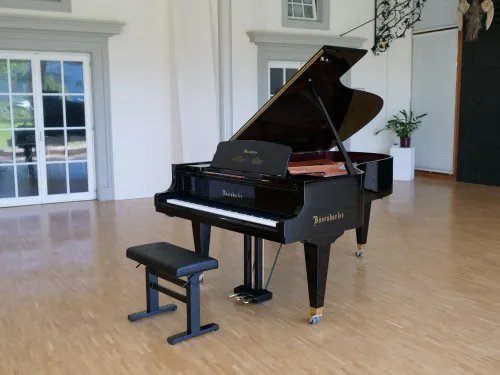 Boesendorfer 214VC Richterswil